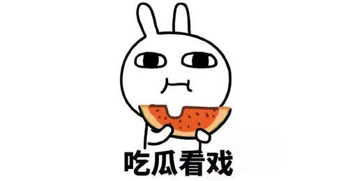 吃瓜暗号搞笑文案,揭秘搞笑暗号背后的趣味人生