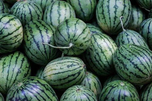 吃瓜什么颜色,揭秘不同吃瓜颜色的秘密