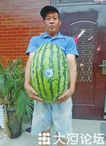 51 吃瓜朝阳,揭秘娱乐圈幕后故事