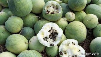 什么瓜嗑着吃,尽享夏日“嗑瓜”时光