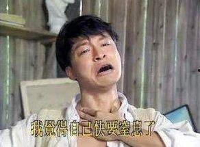 什么瓜嗑着吃,尽享夏日“嗑瓜”时光