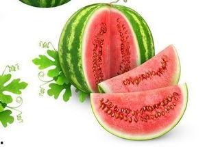 吃瓜李海棠,揭秘娱乐圈背后的甜蜜瓜田