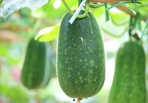 五一在吃瓜,盘点那些年我们追过的热点事件