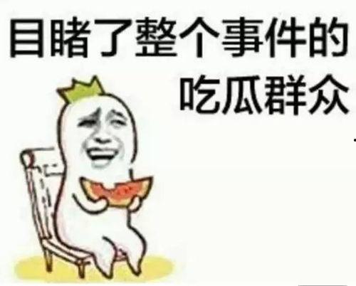 宫晓晓吃瓜,一场吃瓜引发的欢乐盛宴
