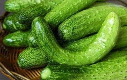 宫晓晓吃瓜,一场吃瓜引发的欢乐盛宴