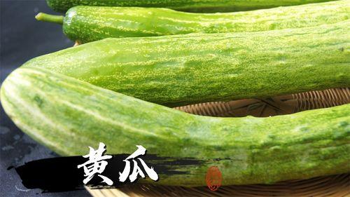 黄瓜视频吃瓜网址,吃瓜网址背后的热门内容与趣味互动