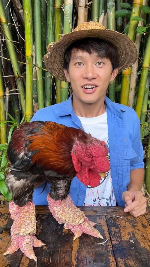 挑战吃100个瓜,勇闯百瓜关，见证舌尖上的奇迹