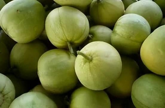 吃瓜甜瓜文案搞笑,甜瓜文案里的欢乐盛宴