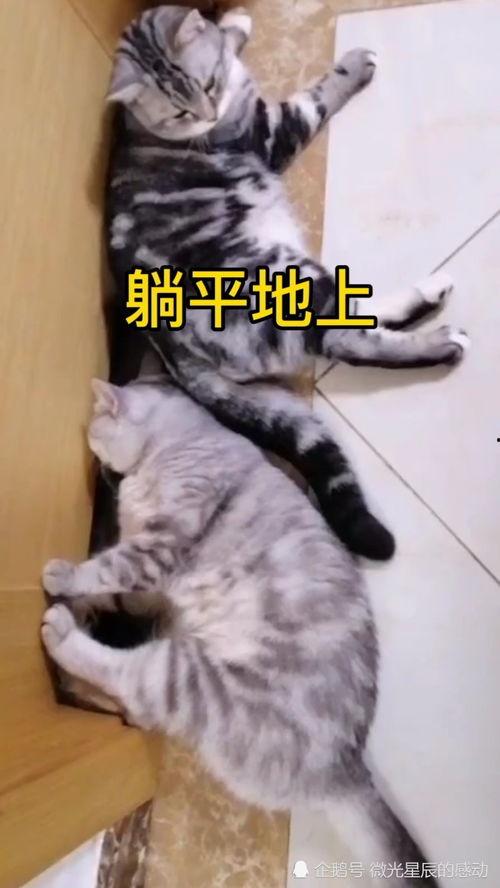 吃瓜躺平发育,新时代年轻人的独特生活方式与心理发育