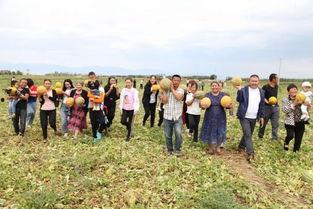 额敏县吃瓜,探寻新疆瓜乡的独特魅力