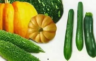 向太阳吃瓜,夏日阳光下的悠闲时光