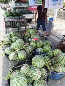 南阳本地吃瓜事件,一场引发全民热议的网络狂欢