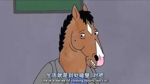 人生可以吃瓜也可以摔瓜,品味与摔碎的双重旅程