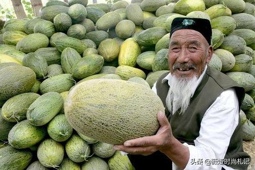 长途吃哈密瓜,品味哈密瓜的甜蜜之旅