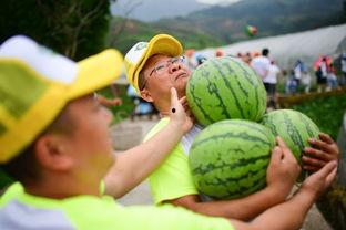翻相册吃瓜,揭秘娱乐圈那些不为人知的幕后故事