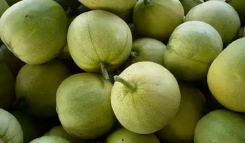 吃瓜人的苦,揭秘幕后真相与情感纠葛