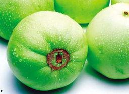 吃瓜人的苦,揭秘幕后真相与情感纠葛