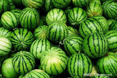 意大利吃瓜中韩,中韩美食文化碰撞火花