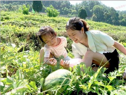 吃瓜群众在瓜田,揭秘吃瓜群众的欢乐盛宴