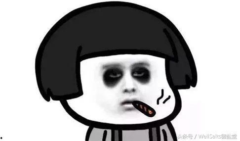 熬夜的人有瓜吃,揭秘熬夜者的“瓜”世界