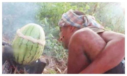 郏县星辰里吃瓜,瓜果飘香，品味乡村田园生活