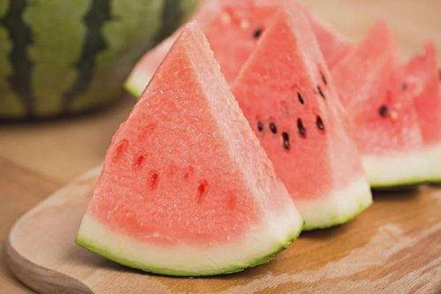 拉丁墨茉吃瓜,揭秘神秘瓜果背后的文化魅力