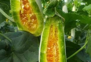 韩国吃瓜猛料,揭秘不为人知的幕后真相