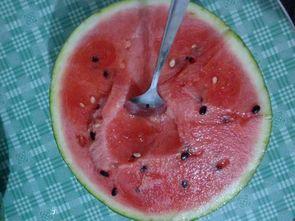 抑郁烤地瓜吃瓜