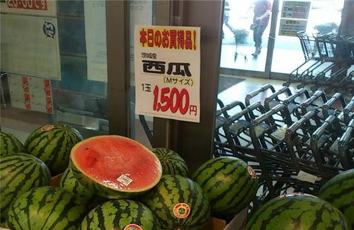 辽宁7青年吃瓜,揭秘背后真相与反思