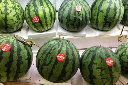 辽宁7青年吃瓜,揭秘背后真相与反思