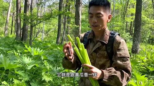 二达子吃瓜视频