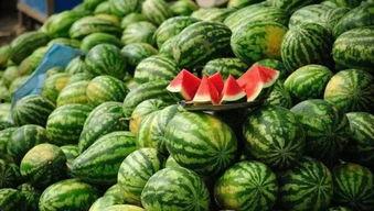 二达子吃瓜视频