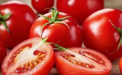 吃瓜系统番茄小说