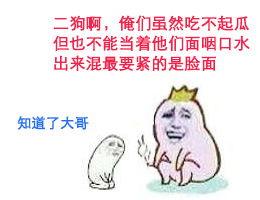 小狗吃瓜有趣表情,小狗吃瓜萌态百出
