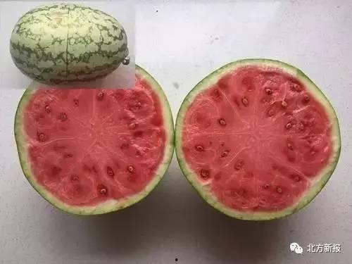 吃瓜吃出爱心