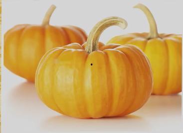 带你吃瓜重庆的路,跟随“带你吃瓜重庆”的脚步，解锁地道重庆小吃之旅