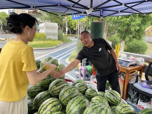 吃瓜周边,揭秘吃瓜周边的火爆现象与魅力所在