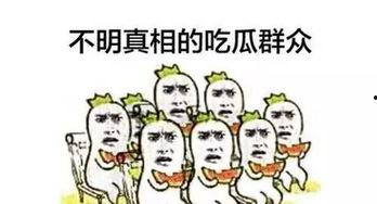 吃瓜群众分分钟聚齐,揭秘网络热议背后的真相