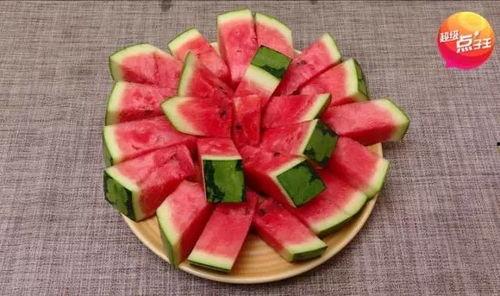 猫吃西瓜哈密瓜,夏日消暑新宠