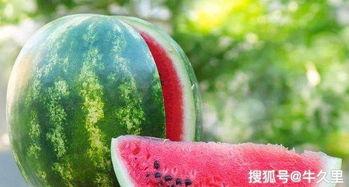 立秋吃瓜的说法,探寻传统习俗中的立秋吃瓜文化