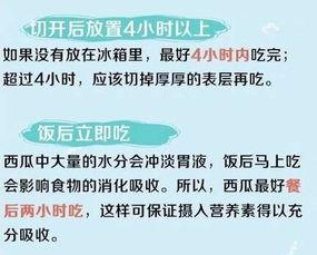 吃瓜方式解说小说,跟随吃瓜群众解锁奇幻小说世界
