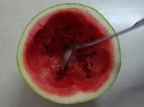 旬瓜煮着吃,传统美食的现代演绎