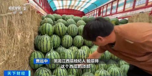 快穿哈吃瓜