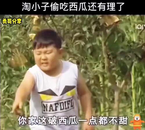 吃瓜哥头条,揭秘娱乐圈最新热点事件，带你领略明星幕后故事