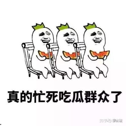 看戏的吃瓜群众,揭秘观众视角下的戏剧盛宴