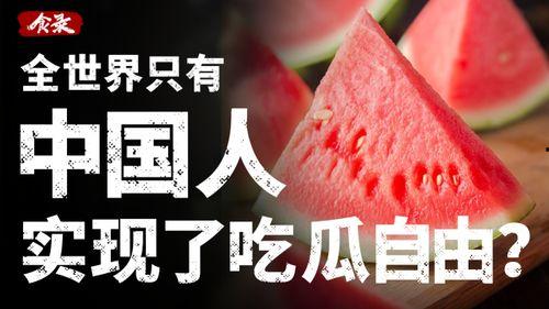 如何实现吃瓜自由,揭秘轻松享受美食的秘诀