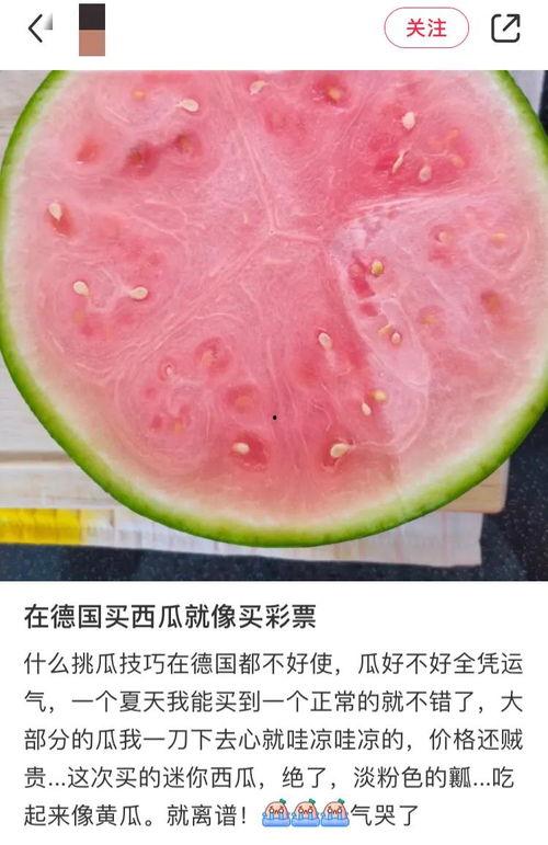 如何实现吃瓜自由,揭秘轻松享受美食的秘诀