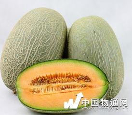 吃了蟹吃哈密瓜
