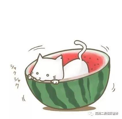 头像漫画吃瓜图片