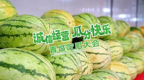 青城吃瓜
